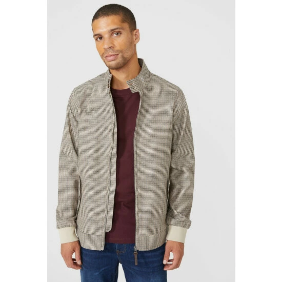 Maine Mini Dogtooth Harrington For Male 4 Maine Mini Dogtooth Harrington For Male - Image 2