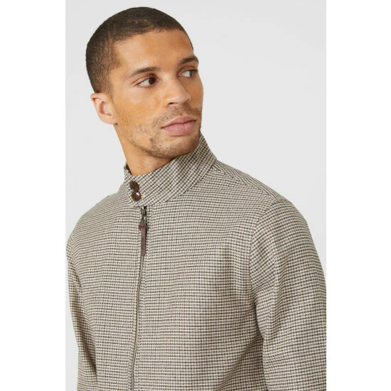 Maine Mini Dogtooth Harrington For Male 5 Maine Mini Dogtooth Harrington For Male - Image 3