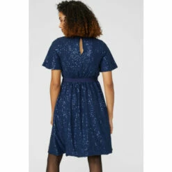 Maine Angel Sleeve Sequin Fit And Flare Dress For Female -Maine New England Shop unnamed file 567